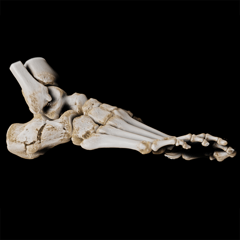 Global Illumination Foot